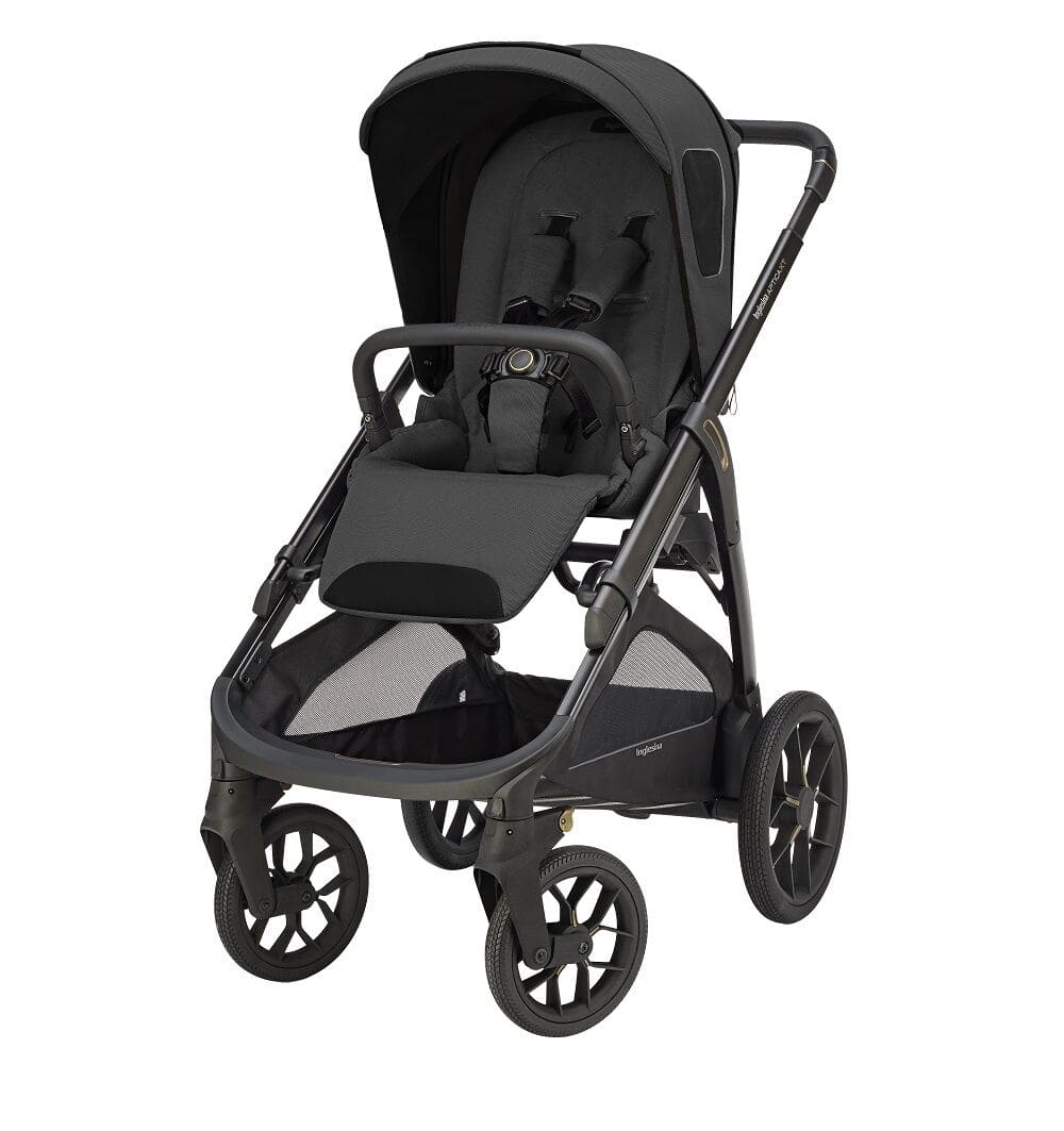 Коляска 2 в 1 Inglesina Aptica XT