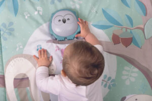 Игрушка-коврик Chicco музыкальный 2в1 “Сова”